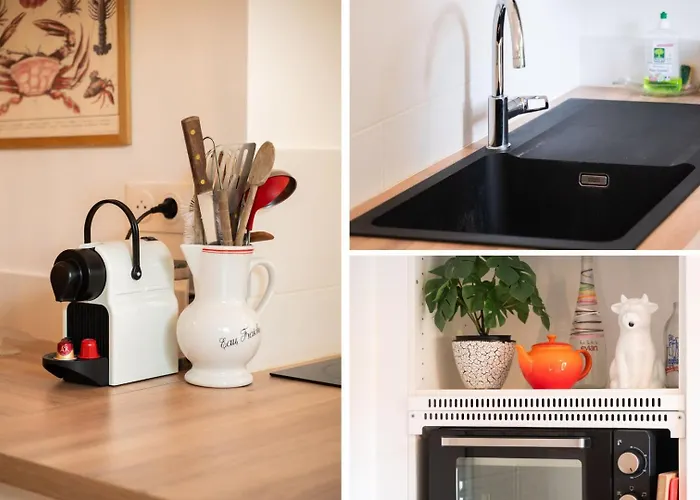 La Coquille / F3 De Charme Avec Jardin Privatif *